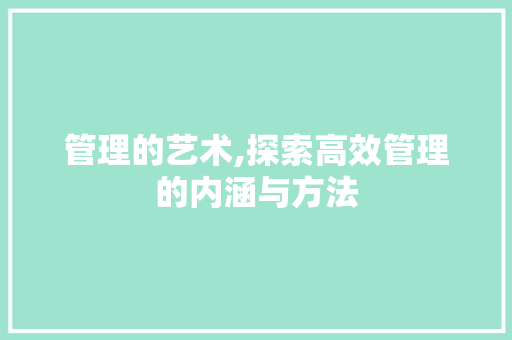 管理的艺术,探索高效管理的内涵与方法