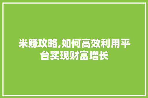 米赚攻略,如何高效利用平台实现财富增长