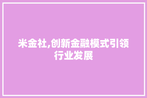 米金社,创新金融模式引领行业发展