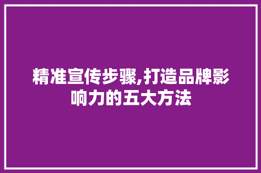 精准宣传步骤,打造品牌影响力的五大方法