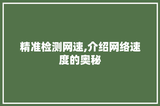 精准检测网速,介绍网络速度的奥秘