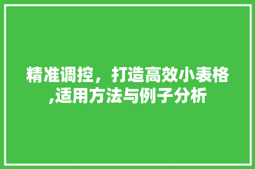 精准调控，打造高效小表格,适用方法与例子分析