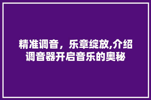 精准调音，乐章绽放,介绍调音器开启音乐的奥秘