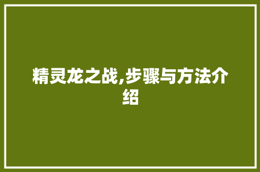 精灵龙之战,步骤与方法介绍
