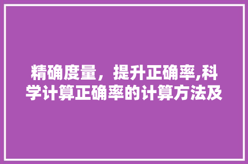 精确度量，提升正确率,科学计算正确率的计算方法及其应用