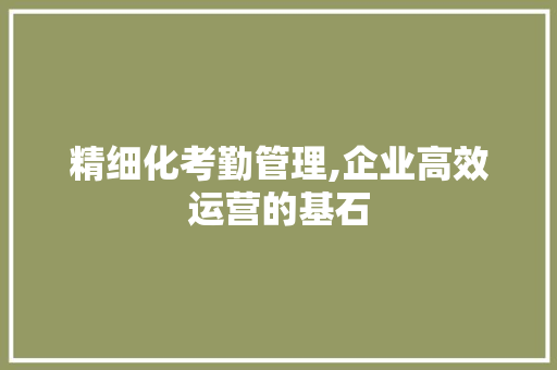 精细化考勤管理,企业高效运营的基石