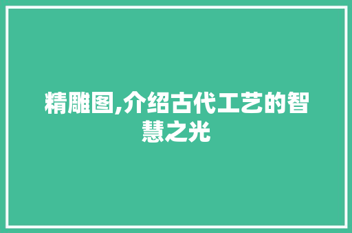 精雕图,介绍古代工艺的智慧之光