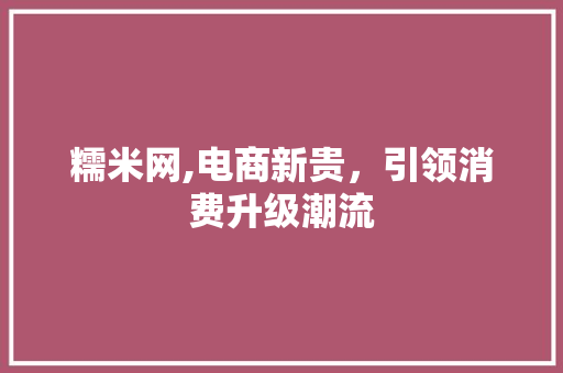 糯米网,电商新贵，引领消费升级潮流