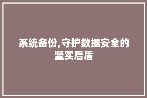 系统备份,守护数据安全的坚实后盾