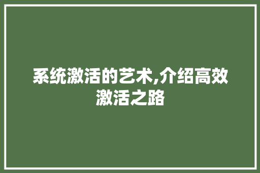 系统激活的艺术,介绍高效激活之路