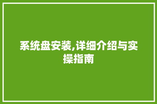 系统盘安装,详细介绍与实操指南