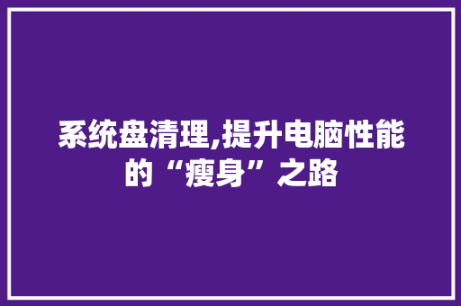 系统盘清理,提升电脑性能的“瘦身”之路