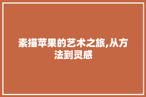 素描苹果的艺术之旅,从方法到灵感
