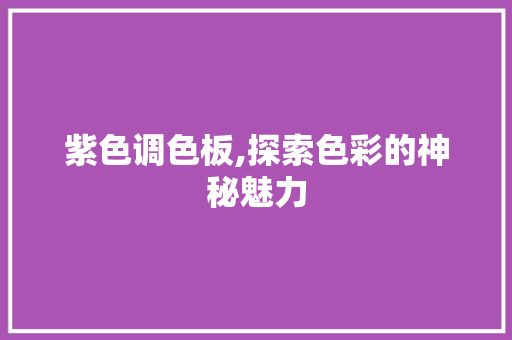 紫色调色板,探索色彩的神秘魅力