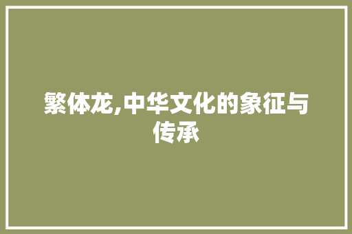 繁体龙,中华文化的象征与传承