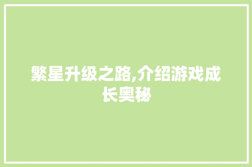 繁星升级之路,介绍游戏成长奥秘