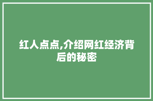 红人点点,介绍网红经济背后的秘密