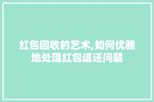 红包回收的艺术,如何优雅地处理红包退还问题