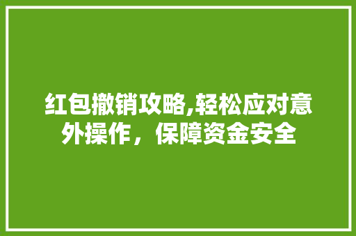 红包撤销攻略,轻松应对意外操作，保障资金安全