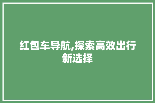 红包车导航,探索高效出行新选择