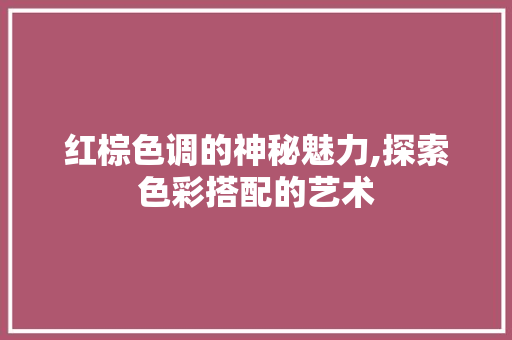 红棕色调的神秘魅力,探索色彩搭配的艺术