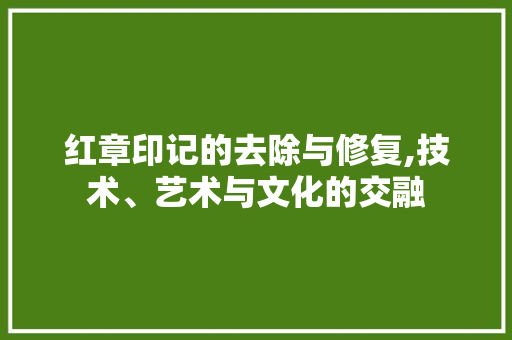 红章印记的去除与修复,技术、艺术与文化的交融