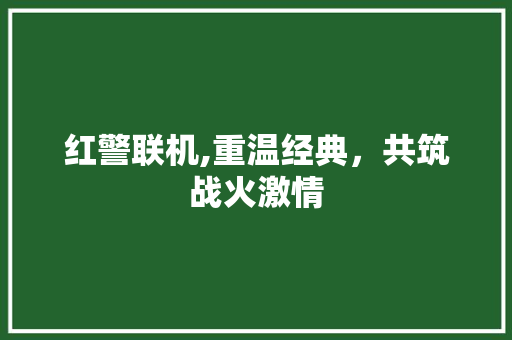 红警联机,重温经典，共筑战火激情