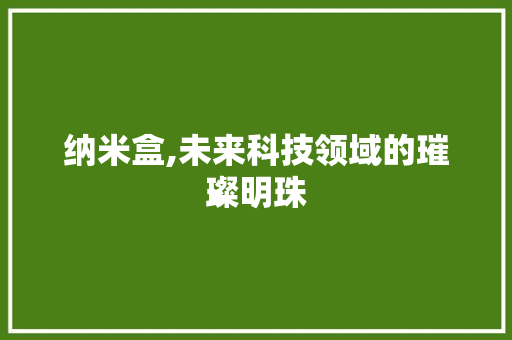 纳米盒,未来科技领域的璀璨明珠 纳米盒,未来科技领域的璀璨明珠