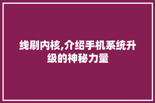 线刷内核,介绍手机系统升级的神秘力量