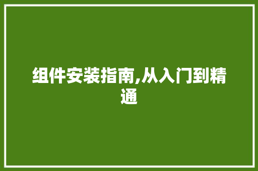 组件安装指南,从入门到精通