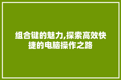 组合键的魅力,探索高效快捷的电脑操作之路 组合键的魅力,探索高效快捷的电脑操作之路