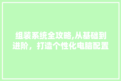 组装系统全攻略,从基础到进阶，打造个性化电脑配置