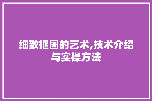 细致抠图的艺术,技术介绍与实操方法