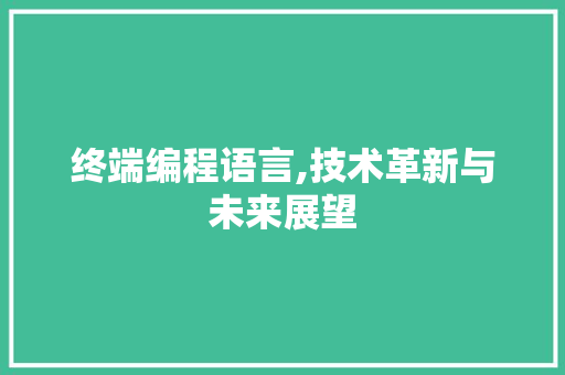 终端编程语言,技术革新与未来展望