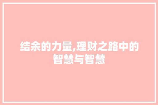 结余的力量,理财之路中的智慧与智慧