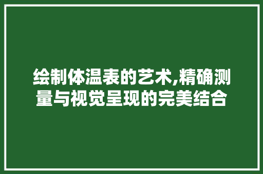 绘制体温表的艺术,精确测量与视觉呈现的完美结合