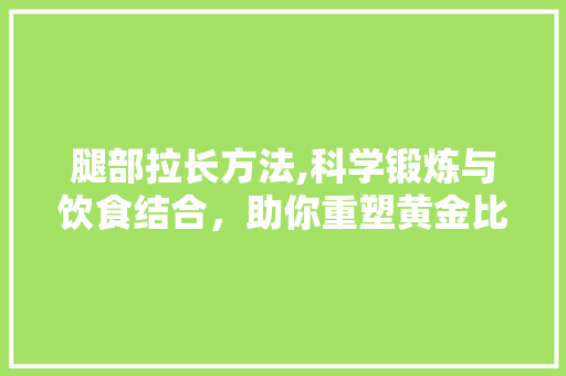腿部拉长方法,科学锻炼与饮食结合，助你重塑黄金比例 操作系统