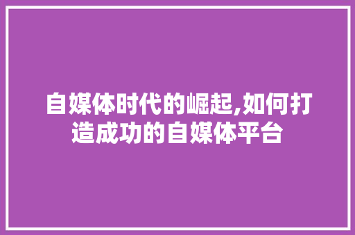 自媒体时代的崛起,如何打造成功的自媒体平台 操作系统