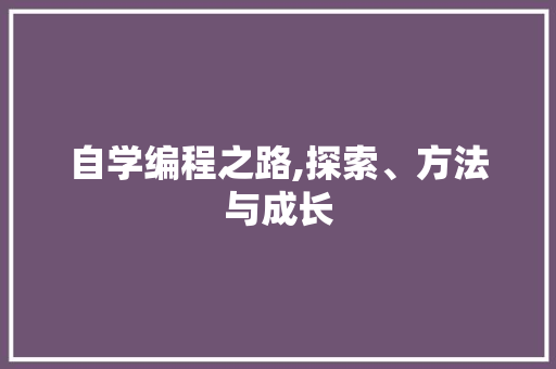自学编程之路,探索、方法与成长