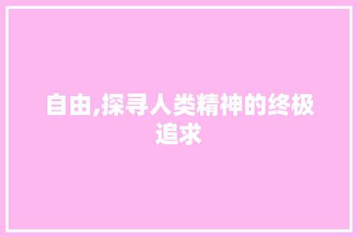 自由,探寻人类精神的终极追求