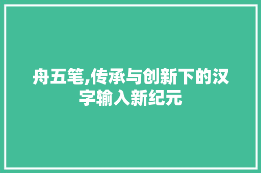 舟五笔,传承与创新下的汉字输入新纪元