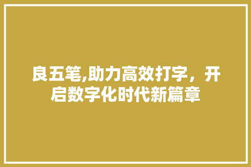 良五笔,助力高效打字，开启数字化时代新篇章