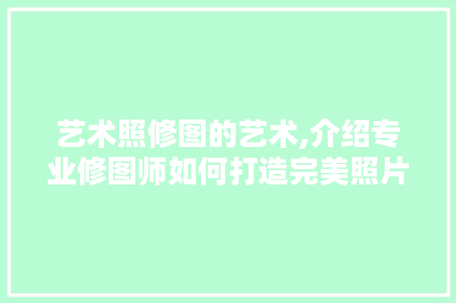 艺术照修图的艺术,介绍专业修图师如何打造完美照片 艺术照修图的艺术,介绍专业修图师如何打造完美照片