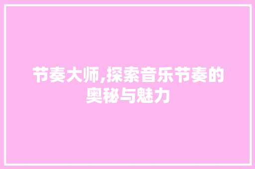 节奏大师,探索音乐节奏的奥秘与魅力