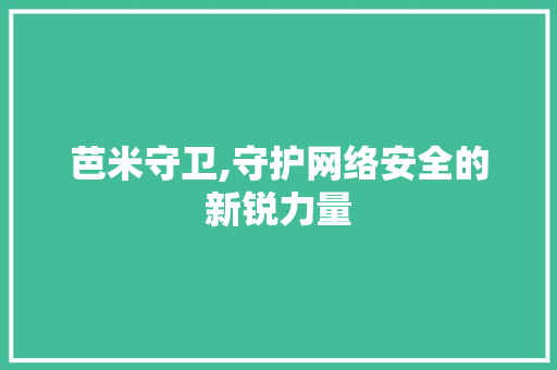 芭米守卫,守护网络安全的新锐力量