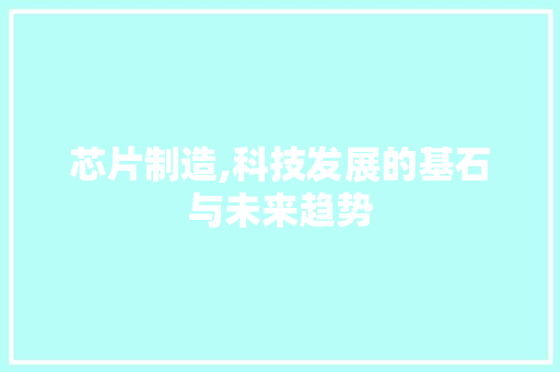芯片制造,科技发展的基石与未来趋势