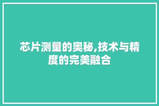芯片测量的奥秘,技术与精度的完美融合
