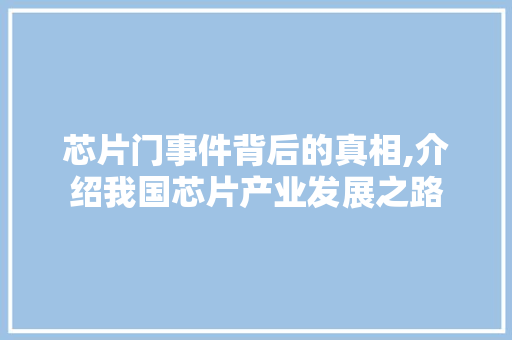 芯片门事件背后的真相,介绍我国芯片产业发展之路