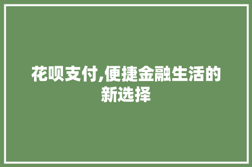 花呗支付,便捷金融生活的新选择 电脑故障维修