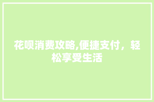 花呗消费攻略,便捷支付，轻松享受生活
